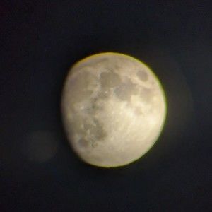 Meet your Posher, Sammy